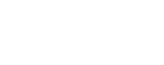 Freight & Traffic Solutions México logotipo en texto a una tinta en blanco